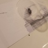 Disinfestazione da scarafaggi