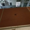 Disinfestazione da Insetti