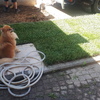 Pavimentare e Piastrellare