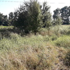 Pulire Terreno Agricolo