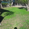 Manutenzione Giardino