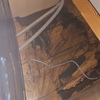 Levigare E Verniciare Parquet