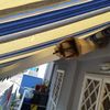 Riparare Tenda Da Sole