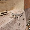 Ristrutturare Muro