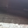 Pulizia Guano Piccioni