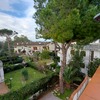 Potare O Tagliare Alberi