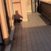 Installare Tende Da Sole