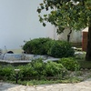 Manutenzione Giardino
