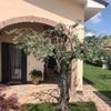 Piantare Giardino