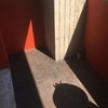Posa resina pavimento balcone e tinteggiatura balcone lato interno