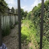 Piantare Giardino