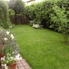Realizzazione Giardino