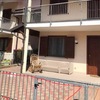 Posare Prato Sintetico