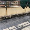 Ringhiere E Recinzioni In Ferro