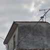 Allontanamento Piccioni