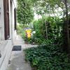 Sistemazione erba giardino