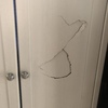 Carteggiatura e Verniciatura Legno