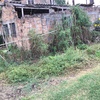 Smaltimento Macerie Edili