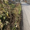 Costruire Muro Cemento Armato