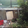 Progettare Giardino