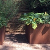 Piantumazione Giardino