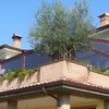 Tenda plastificata