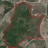 Pulizia terreno agricolo