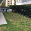 Manutenzione Giardino