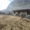 Posare Prato Sintetico