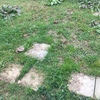 Progettare Giardino