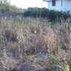 Pulire Terreno Agricolo
