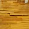 Levigare e Verniciare Parquet (Parziale)
