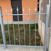 Ringhiere E Recinzioni In Ferro