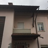Allontanamento Piccioni