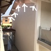 Allontanamento Piccioni