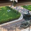 Manutenzione Giardino