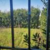 Manutenzione Giardino