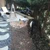 Manutenzione Giardino
