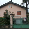 Taglio alberi