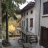 Potare O Tagliare Alberi