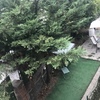 Manutenzione Giardino