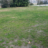 Costruire Campo Calcio