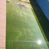 Manutenzione Piscina Casa