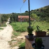 Cemento stampato