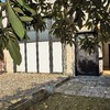 Potare O Tagliare Alberi