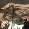 Pulizia Tende Da Sole