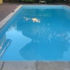 Rivestimento piscina pvc