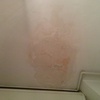 Piccola ristrutturazione bagno per perdita