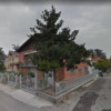 Potare O Tagliare Alberi