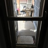 Installare Gattaiola